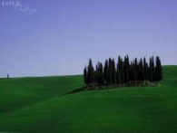 Ritratto di CALISTRI