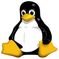 Ritratto di Tux86